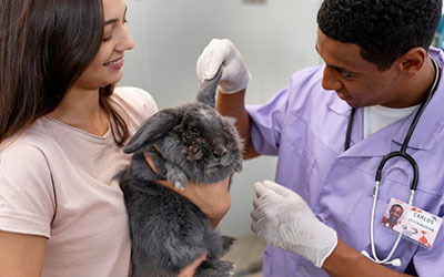 Hospital veterinário  em Taboão