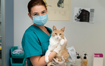 Hospital veterinário em Campanário