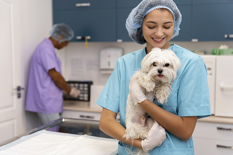 veterinario-popular-diadema | clínica veterinária Pet Consulta. veterinario-popular-diadema | clínica veterinária Pet Consulta.